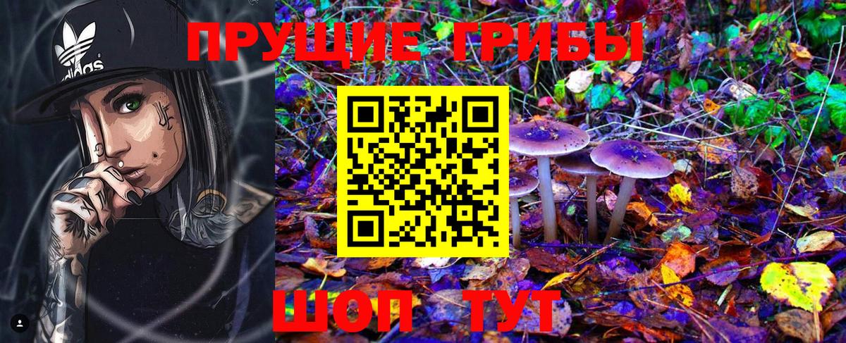 Псилоцибиновые грибы Cubensis  Вход с VPN  Сарапул 